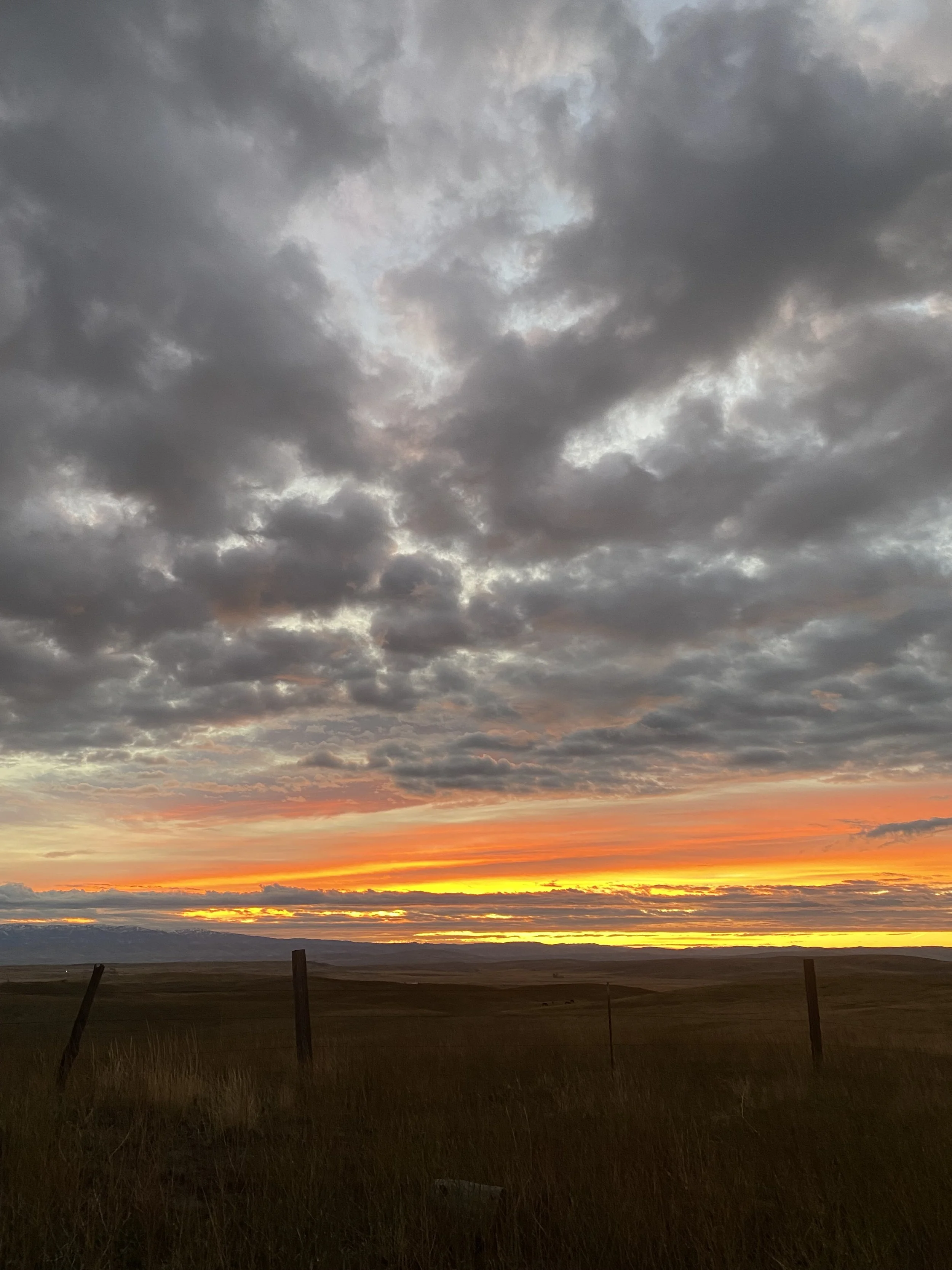 Group Resilience Coaching: Corporate, Military & First Responder Teams