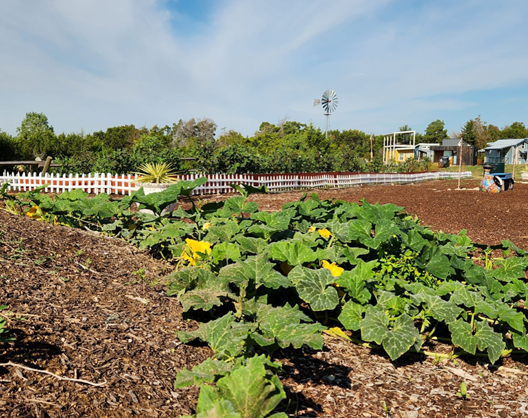 garden2.png