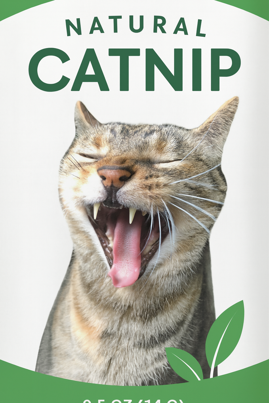 ChatGPT Image Dec 25, 2025, 05_46_00 AM.png