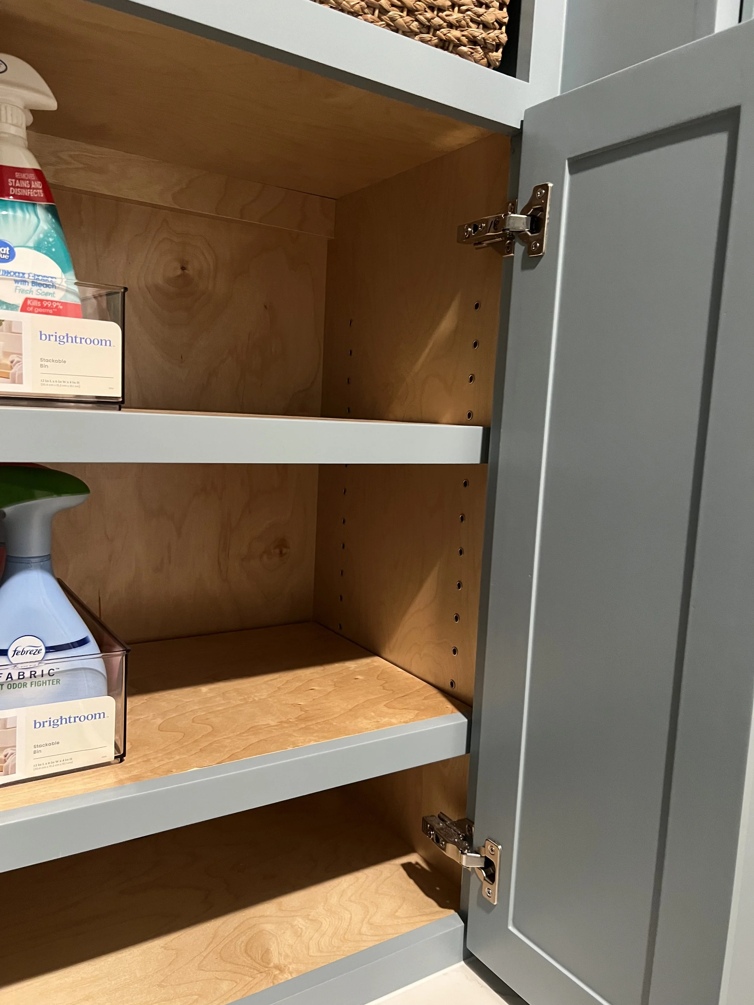 After- Adjustable Shelves