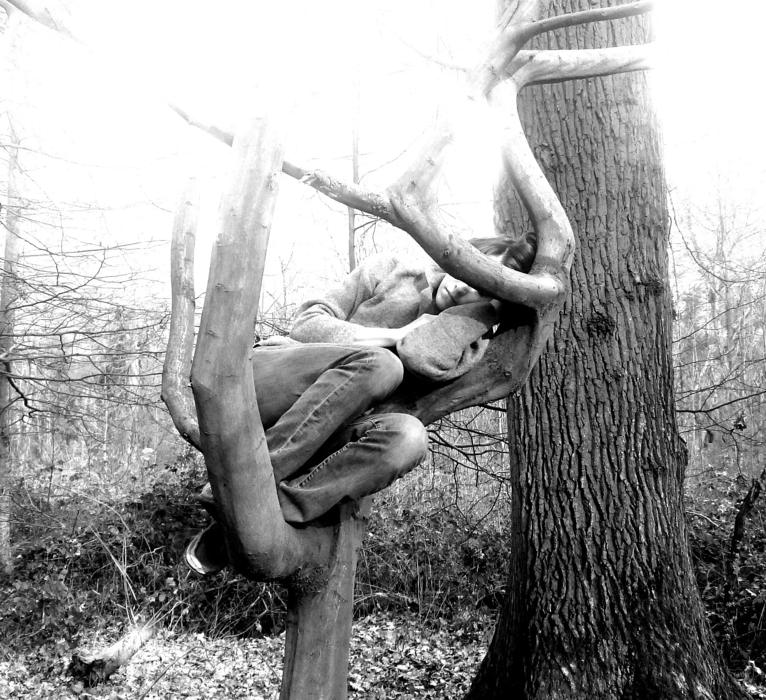 Junge Person sitzt schlafend in den Ästen eines Baumes im Wald, schwarz-weiß.