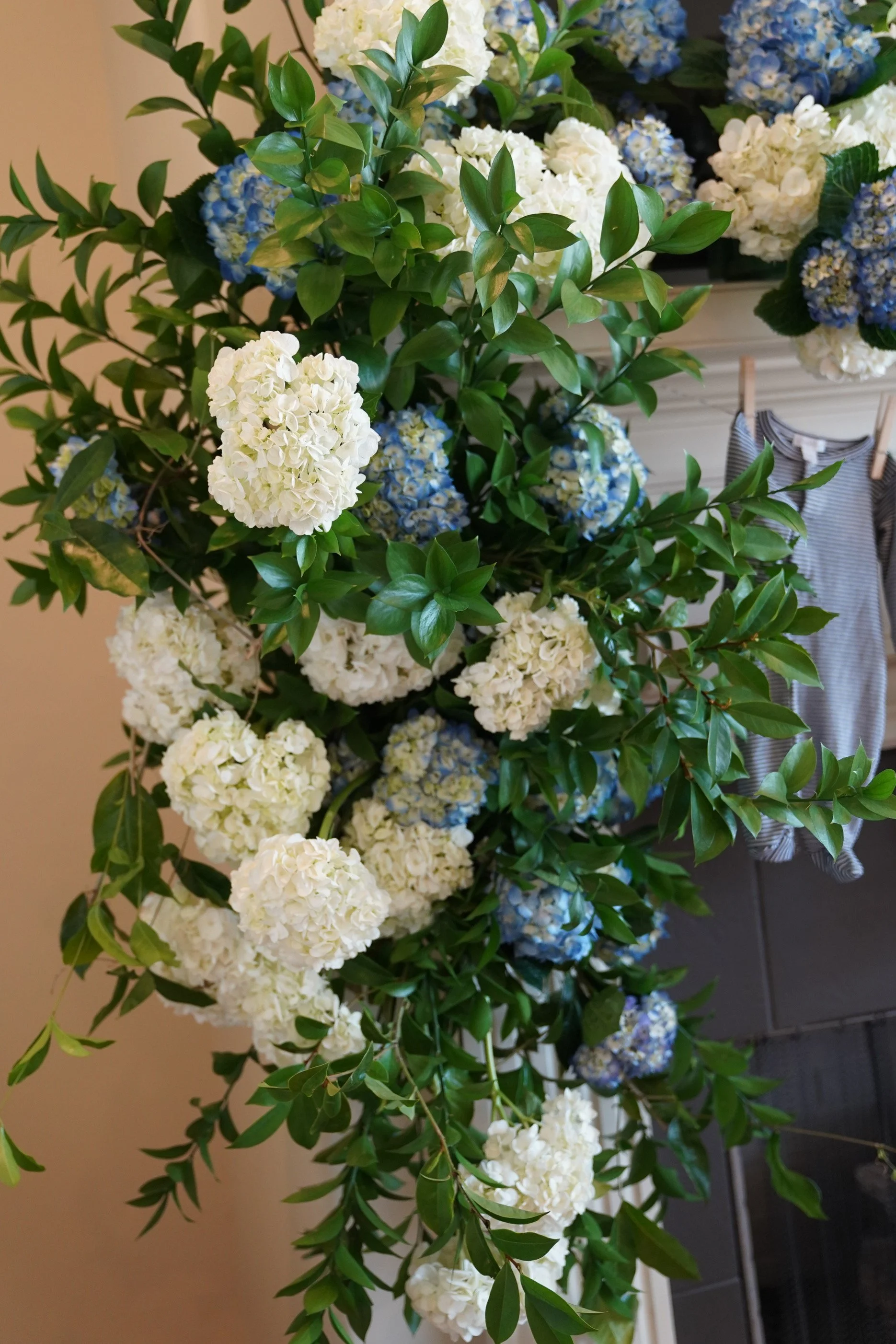 DSC08338 2.jpg
