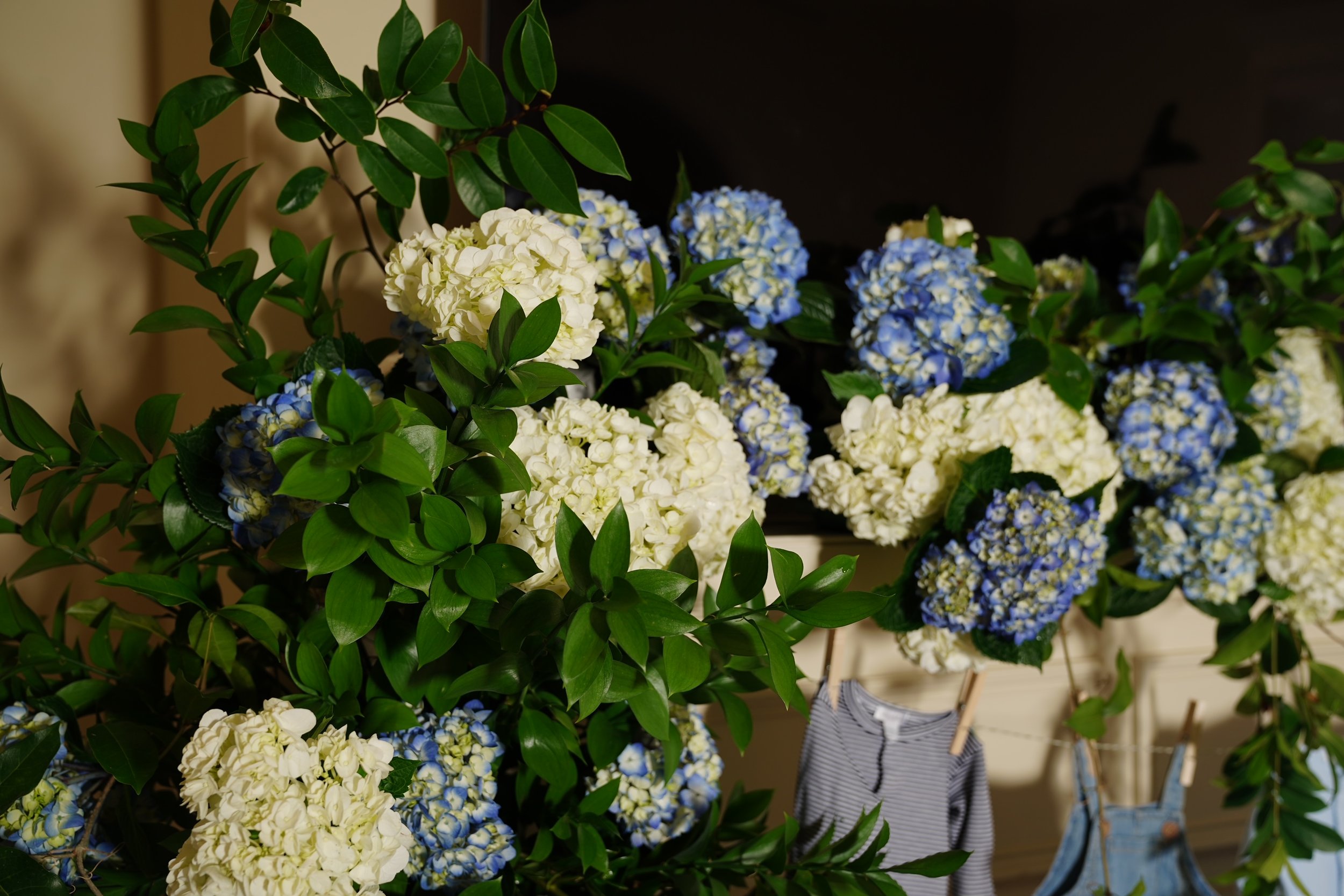 DSC08079 2.JPG