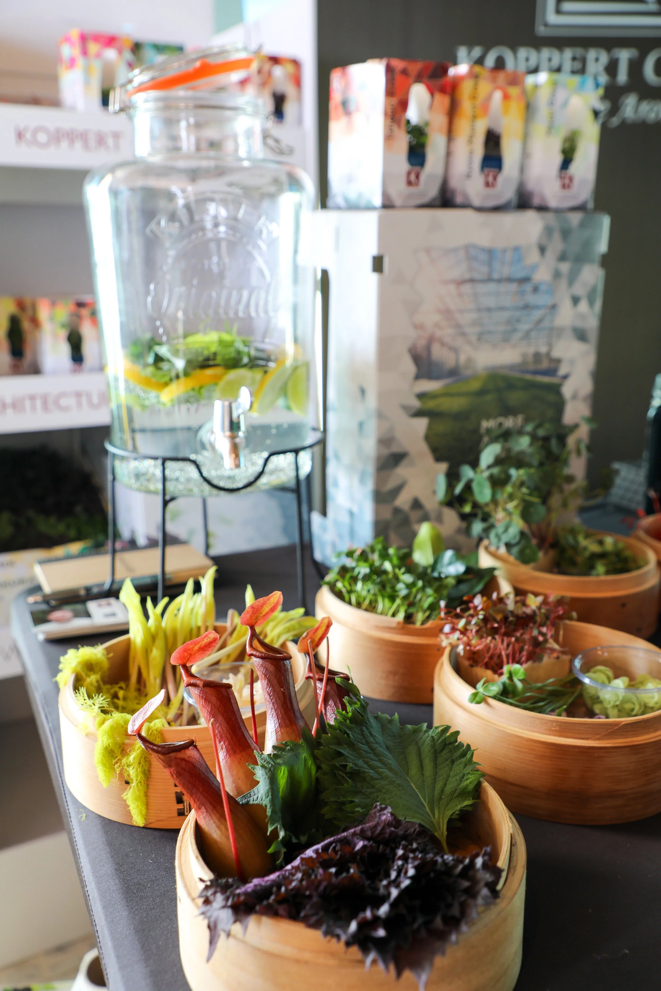 Superyacht Foodie Fair IMG_2614.jpg