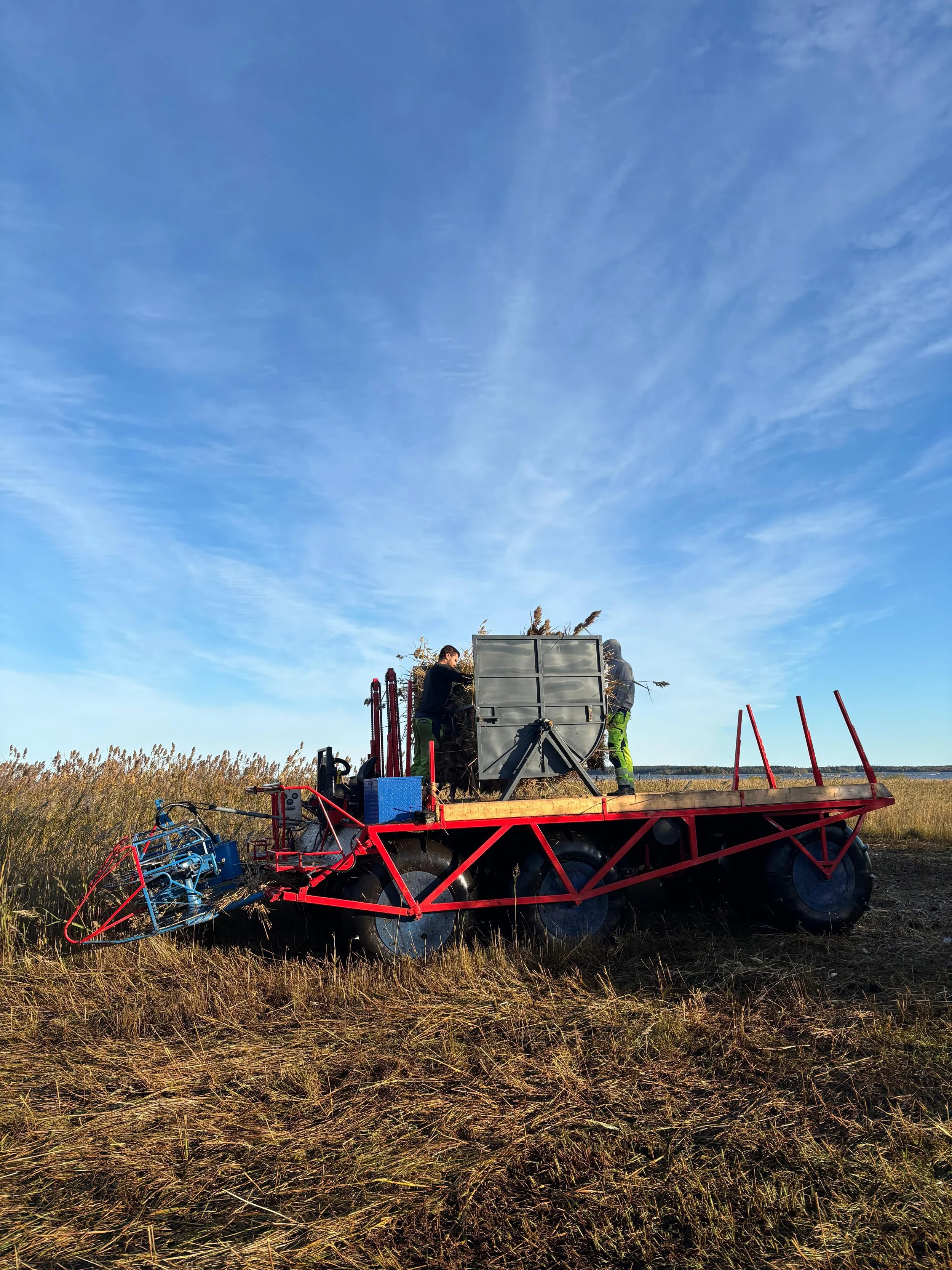 WhatsApp Image 2026-01-26 at 16.23.54.jpeg