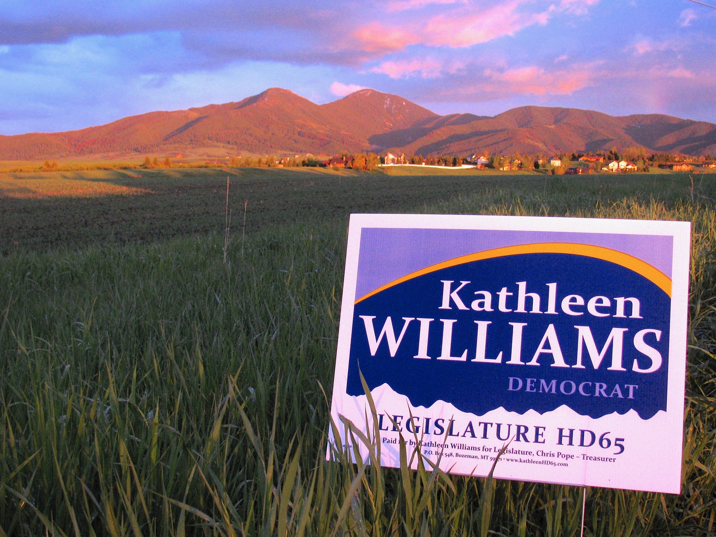 A political campaign sign for Kathleen Williams, a Democrat, in a field with mountains in the background during sunset.