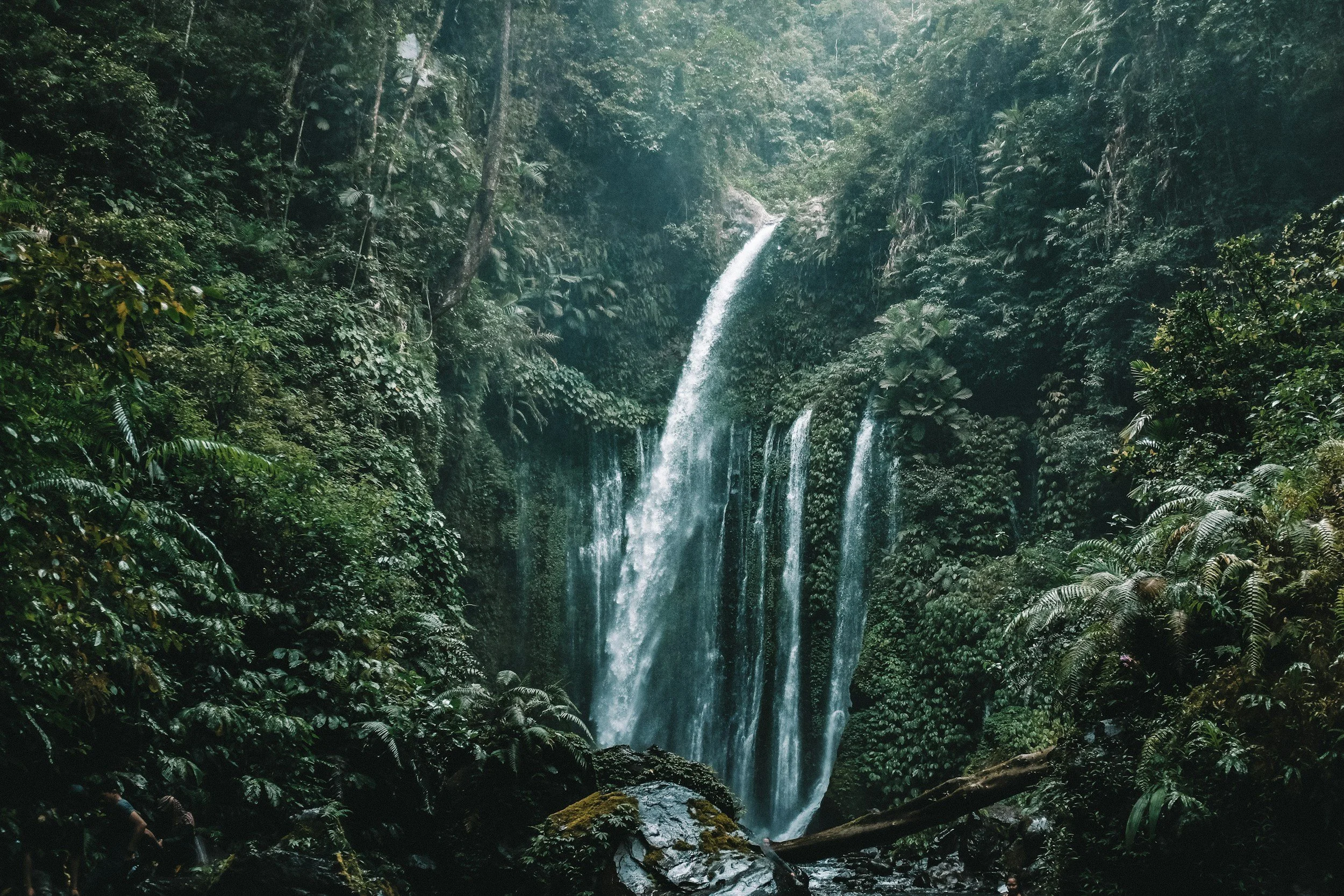 unsplash-image-ym99Ig7ILRA.jpg