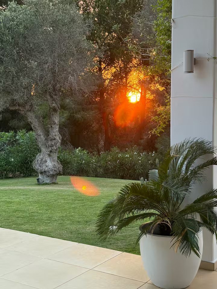 Garden 3.jpg