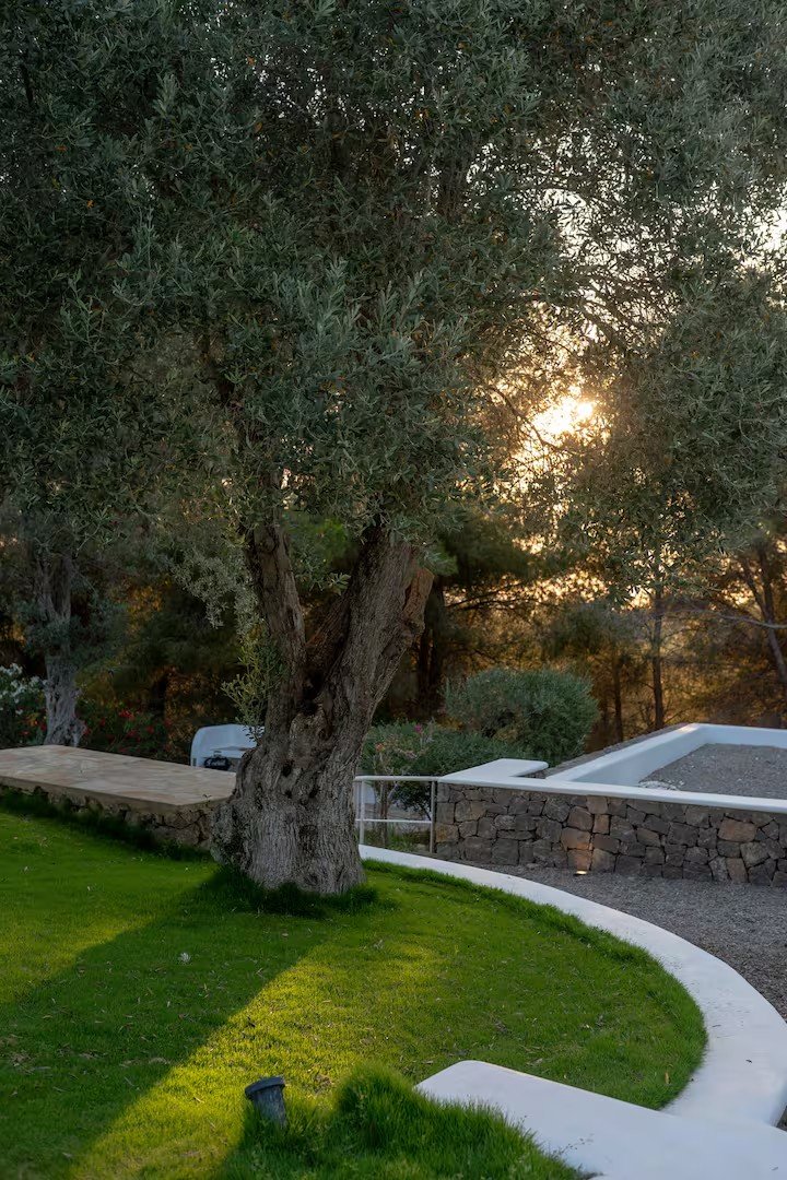 Garden 4.jpg