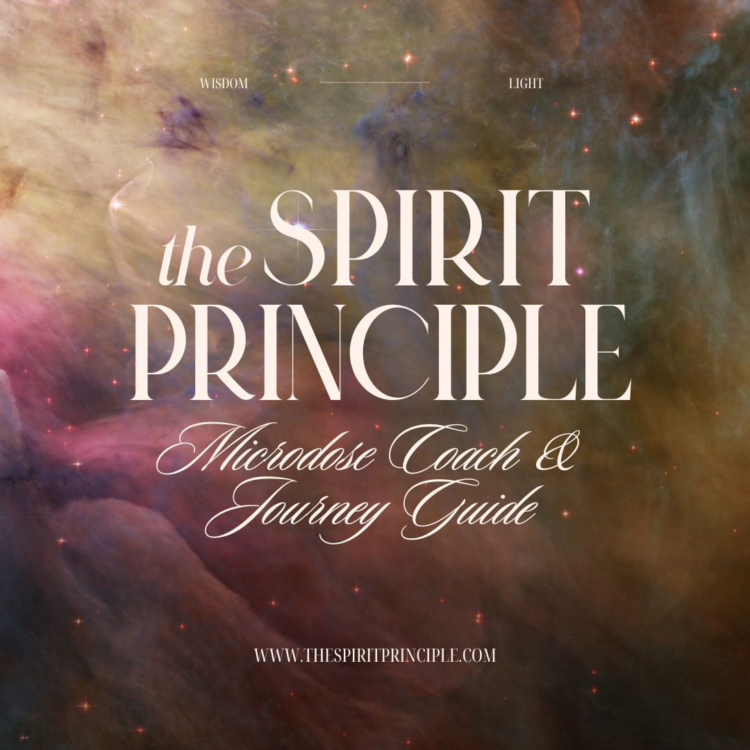 The Spirit Principle
