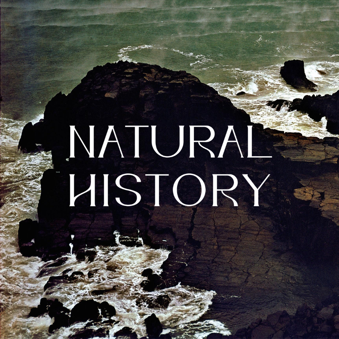 Natural History