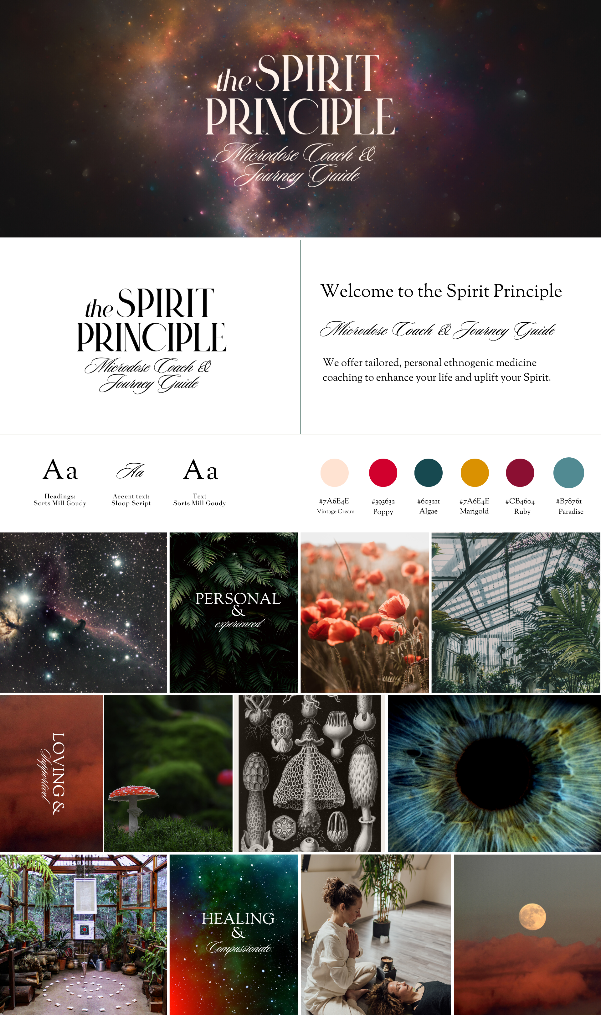 Spirit Principle Final Brand Board.png