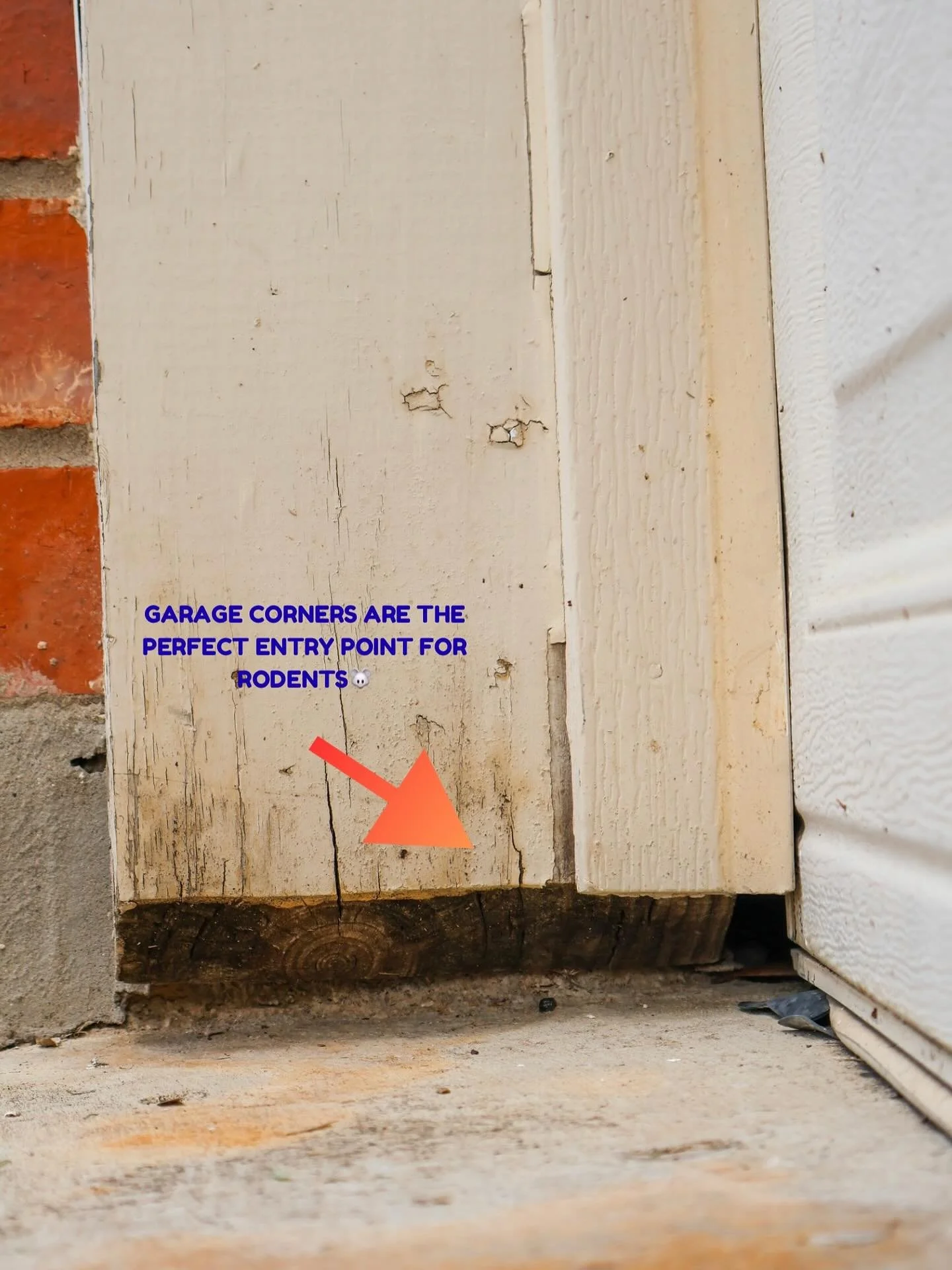 Sealed the garage corners to resolve our client&rsquo;s issue with rodents getting into the engine bay &mdash; and, as always, finished up by vacuuming and sanitizing the area.🐭❌
&bull;
~message us for a FREE consultation~