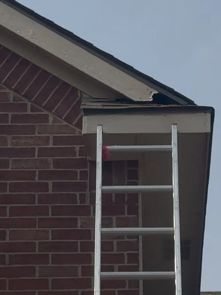 Squirrel damage on the eaves?🐿️ Fixed ✅
Hidden entry points are prime access for rodents&mdash;sealing them helps keep your home protected.
&bull;
&bull;
#dfw #dfwbusiness #rodents #dfwrodentproofing #eaves