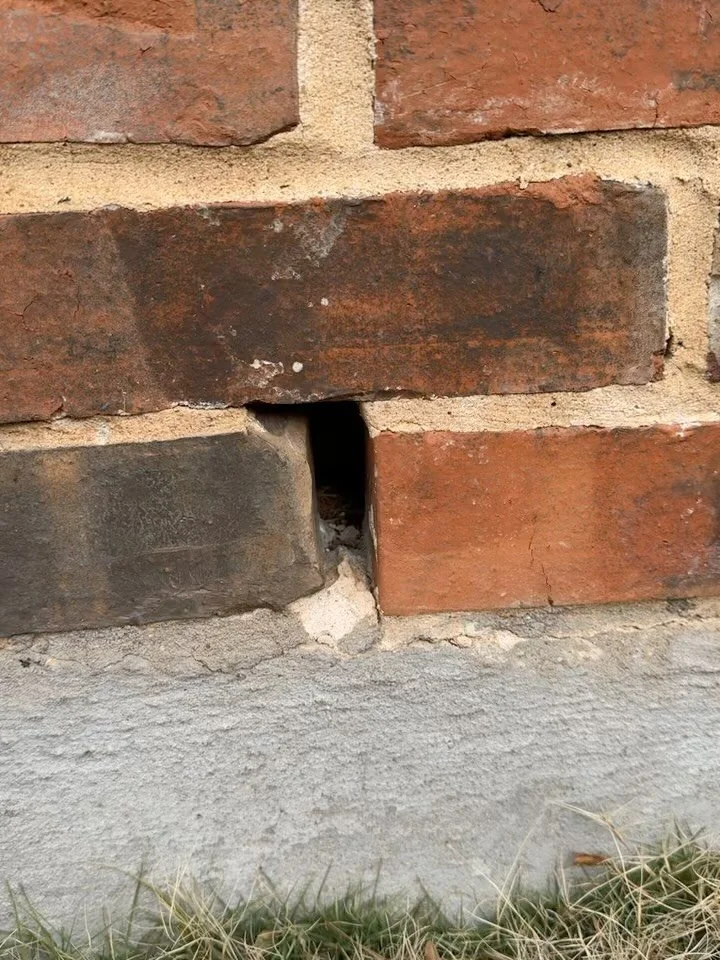 Rodents don&rsquo;t need an invitation&hellip; just a weep hole 👀
&bull;
Weep holes help prevent moisture by allowing your home to breathe, but when left unprotected they become easy entry points for rodents.🐭
We secure them without blocking airflo