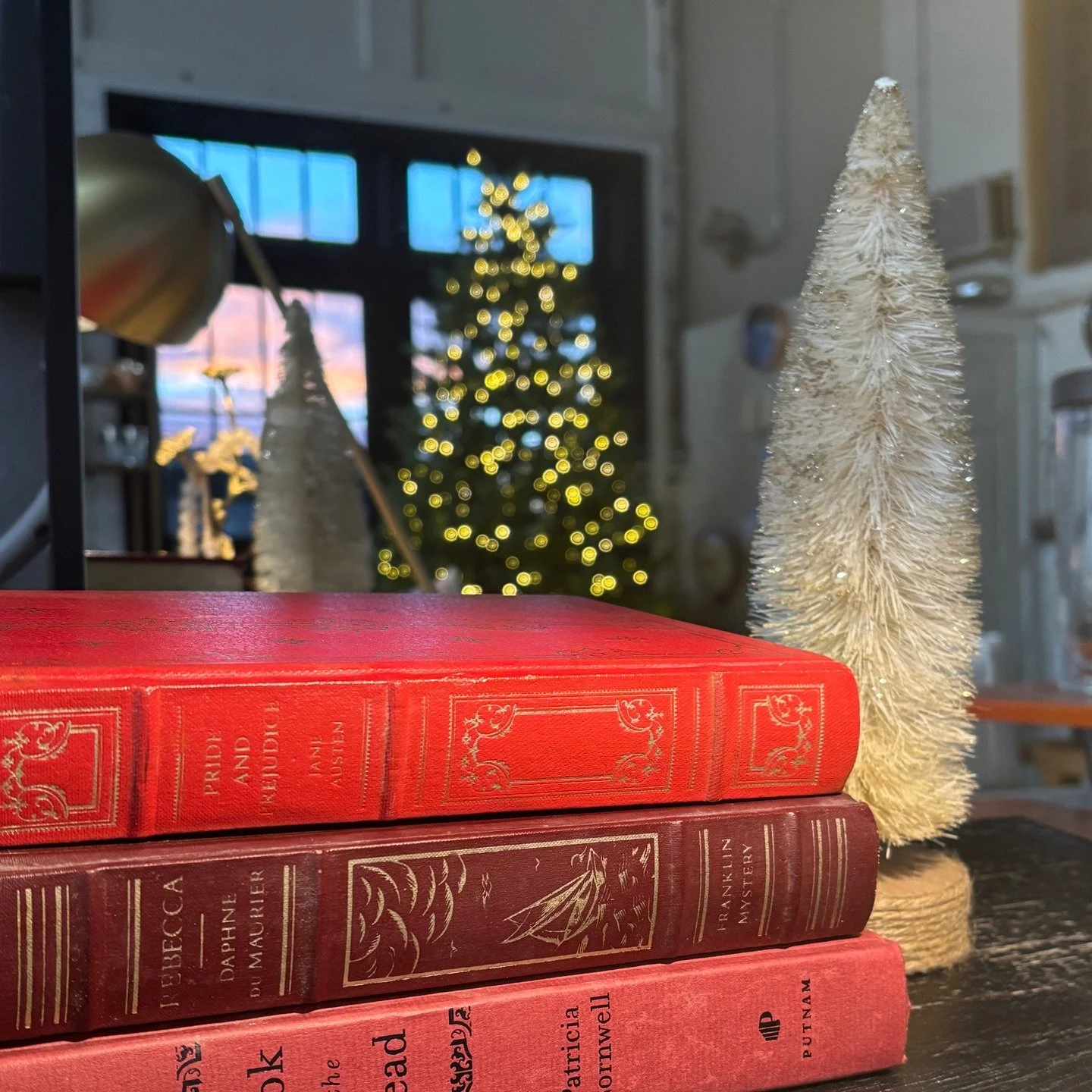 Almost time to dismantle Christmas decorations... but maybe just a couple more nights🎄 #montanachristmas #downtownbillings #vintagebooks #billingsmt