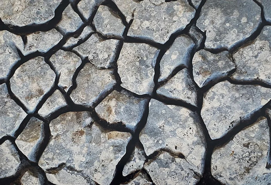 Ricamando il Caos, reference photo