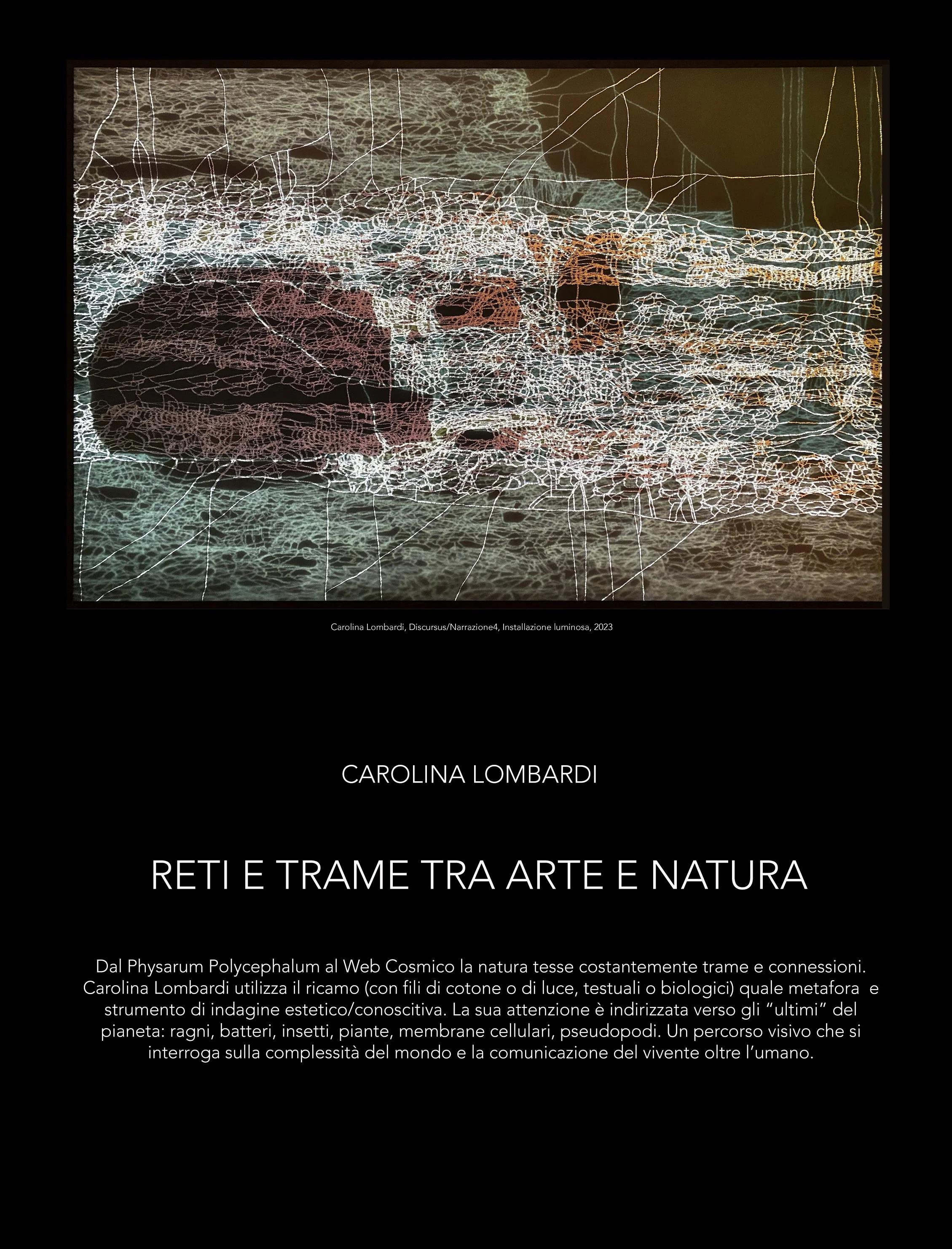 Carolina Lombardi's talk at CIMEC, Rovereto, Italy