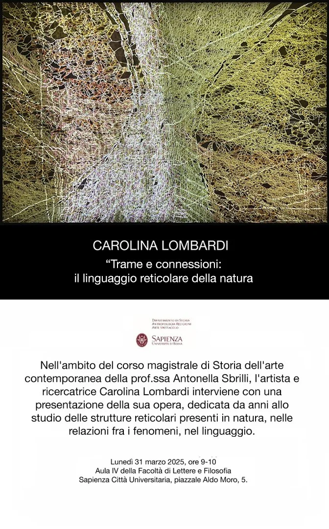 Carolina Lombardi talk at La Sapienza University, Rome