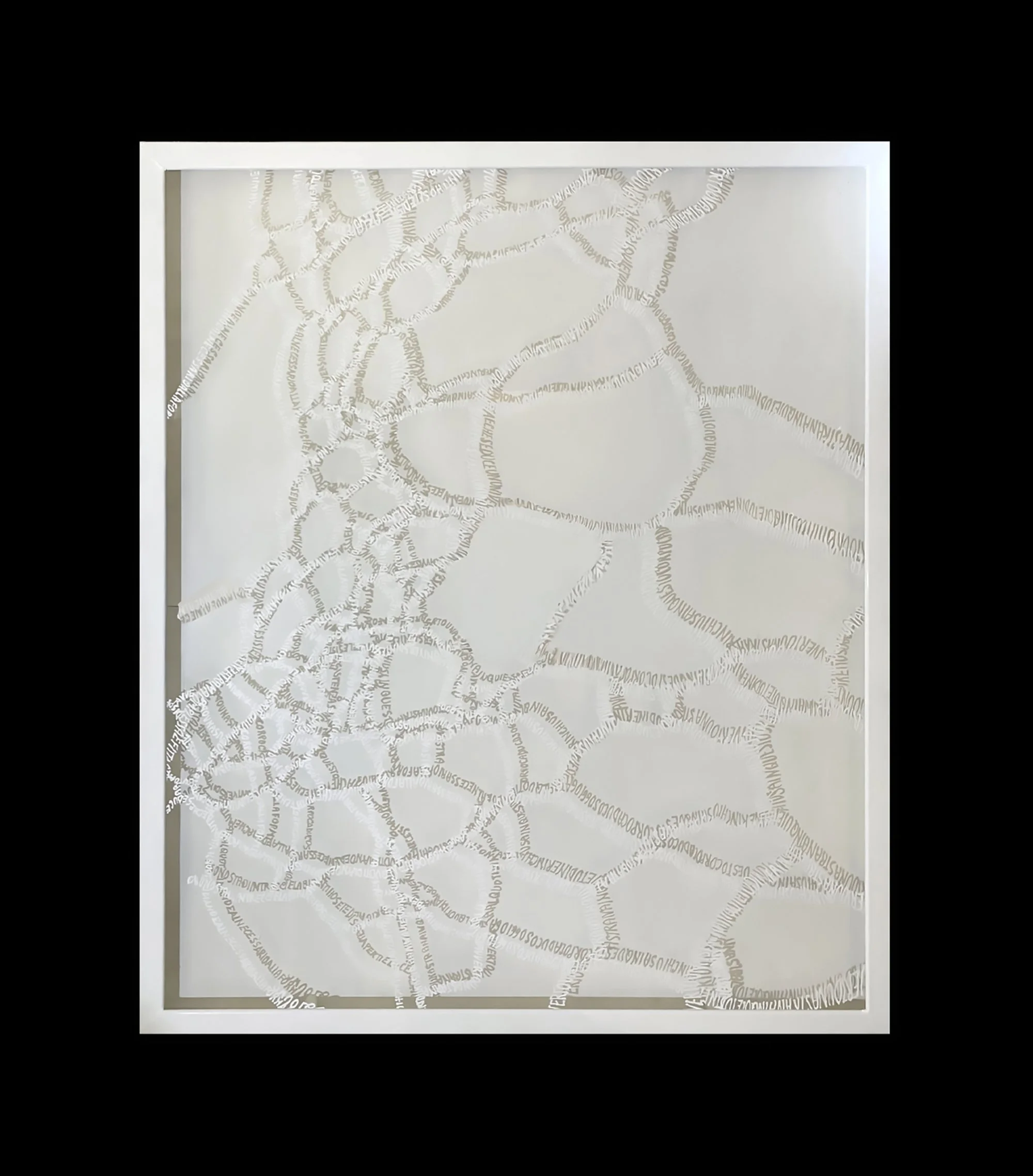 Carolina Lombardi - Dialoghi, Ricamo Testuale 3