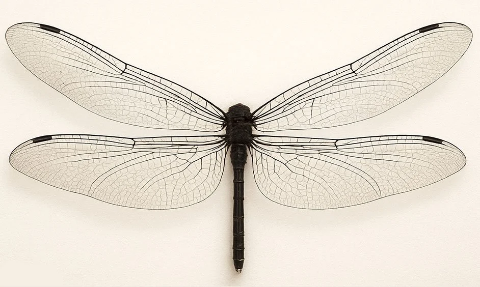 Ricamando il Caos, reference photo