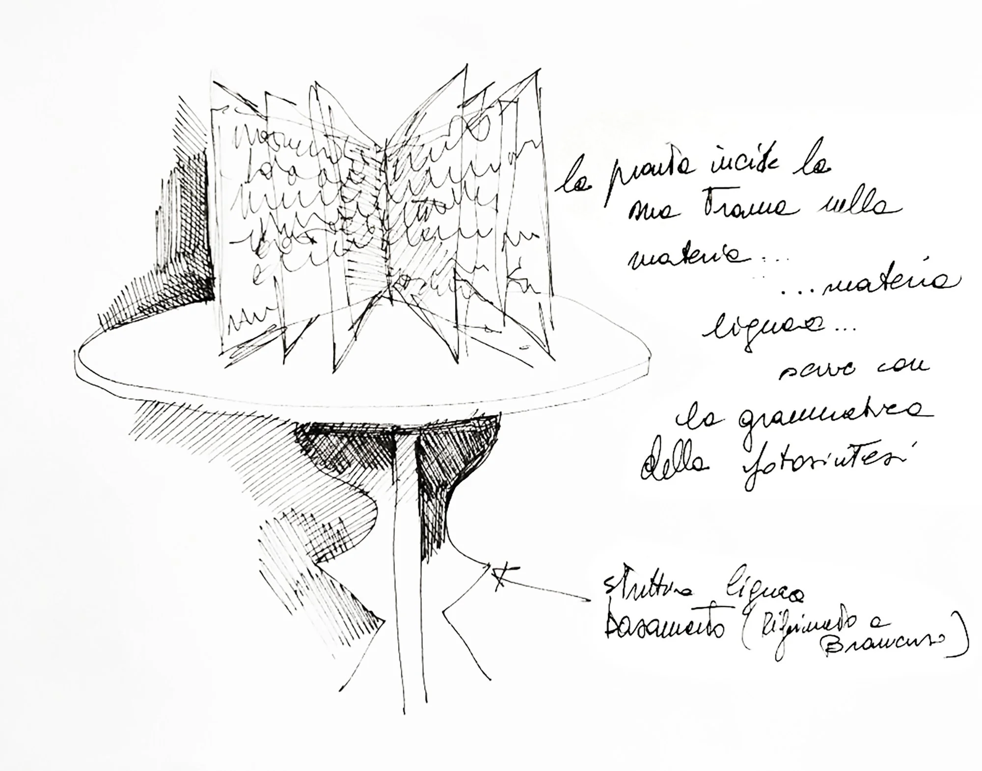 Carolina Lombardi - Trama Narrativa - sketch