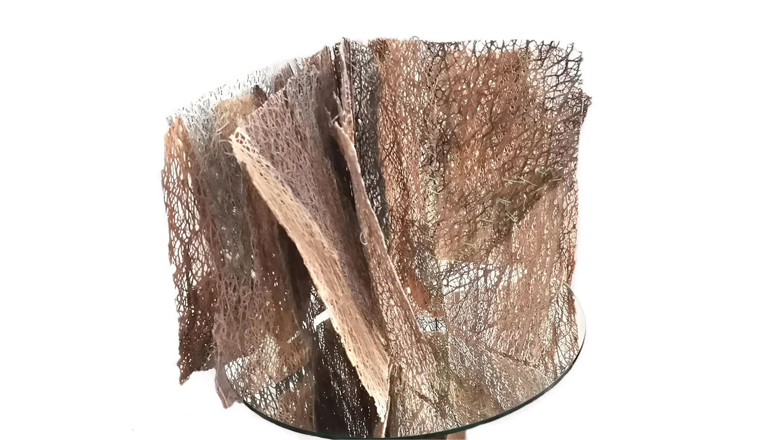 Carolina Lombardi - Trama Narrativa