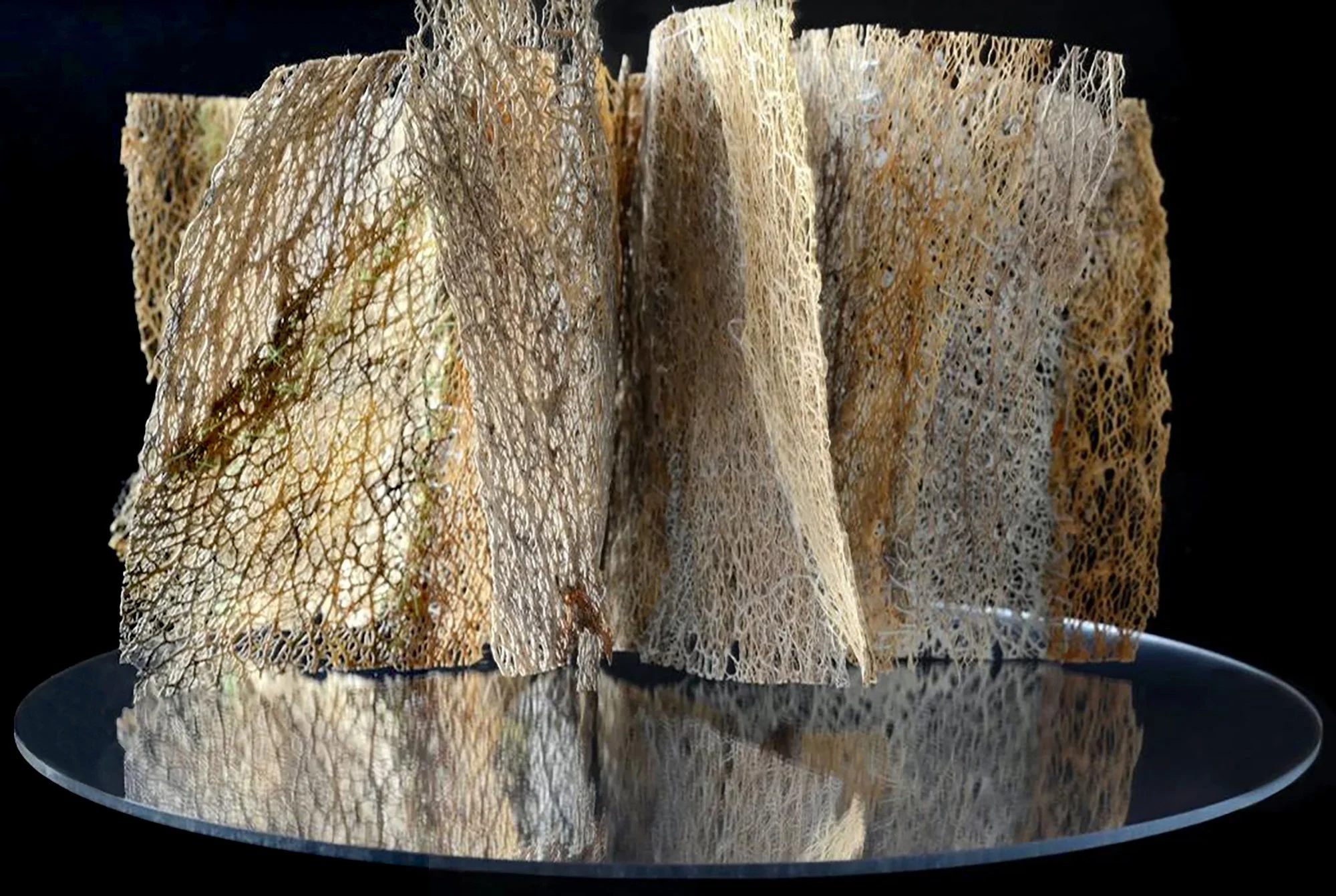 Carolina Lombardi - Trama Narrativa, detail