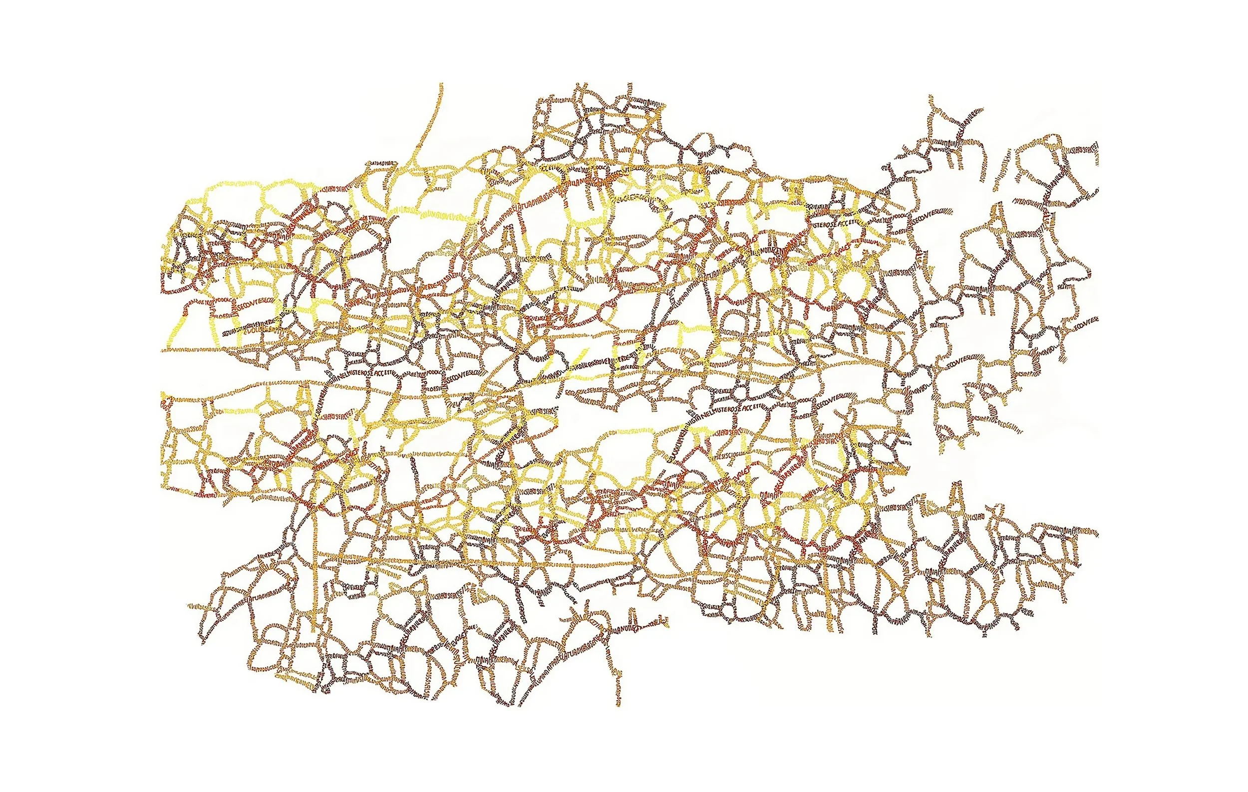 Drawing based on natural structures. Carolina Lombardi