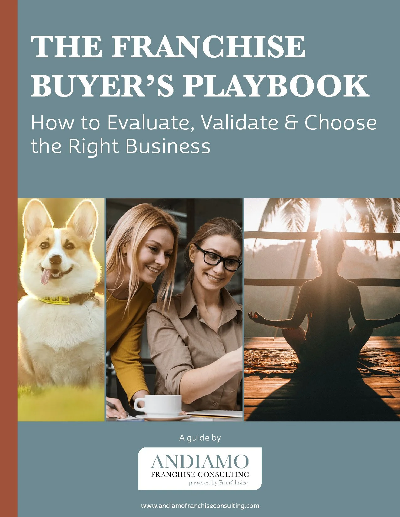 Cover of a book titled "The Franchise Buyer's Playbook" with images of a dog, two women working together, and a person meditating at sunset.