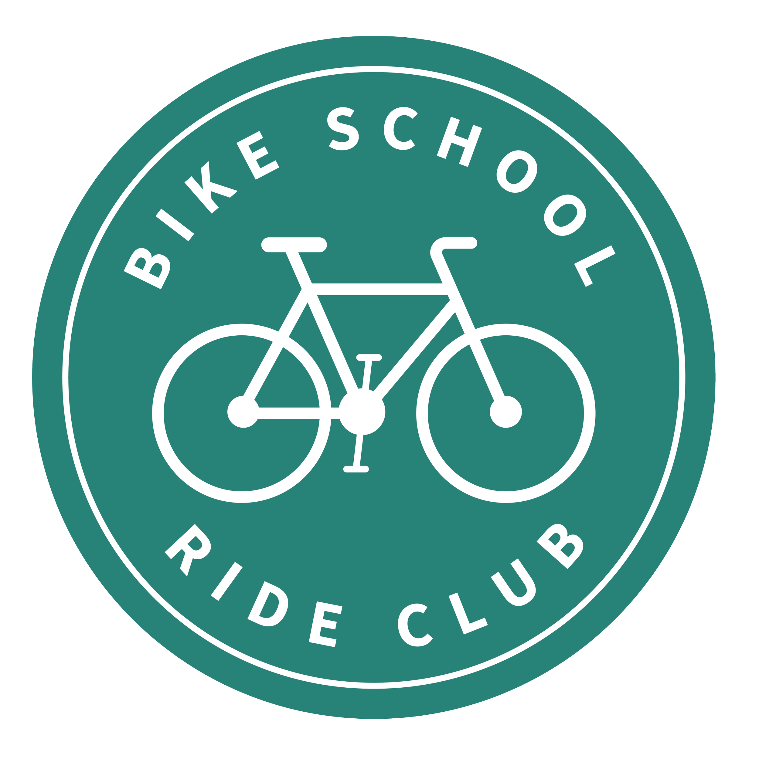 Bike School Social Ride Club Dublin