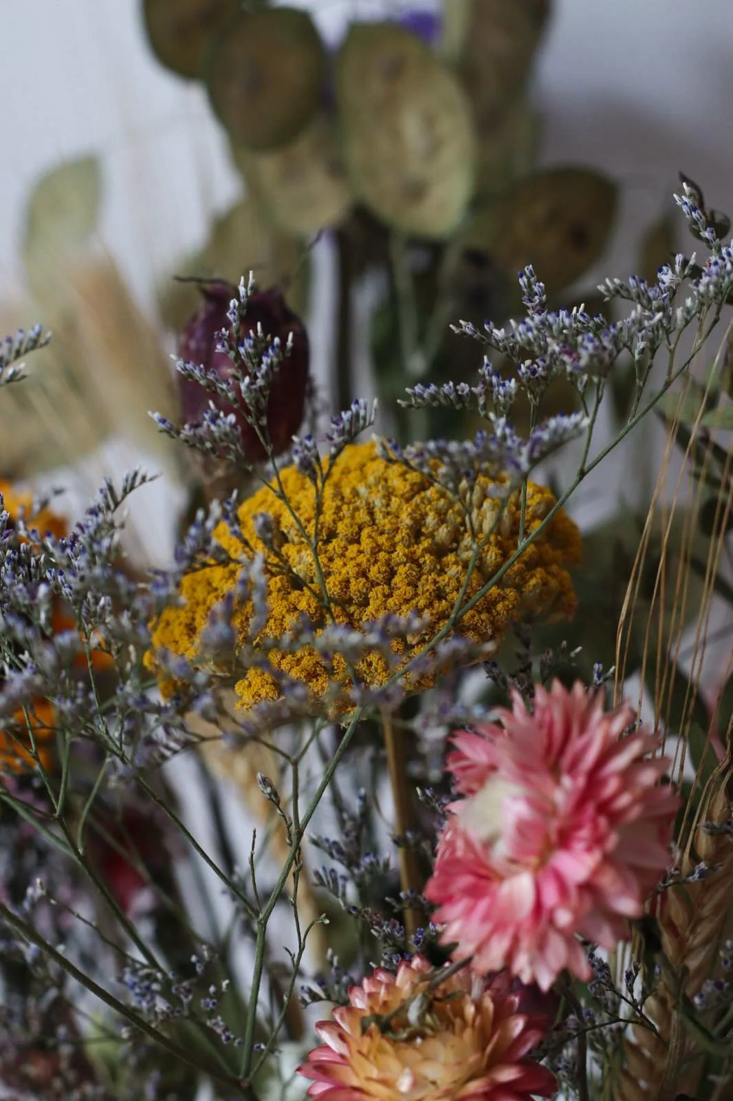 Close-up of various dried flowers, including yellow, pink, and purple flowers, arranged together.