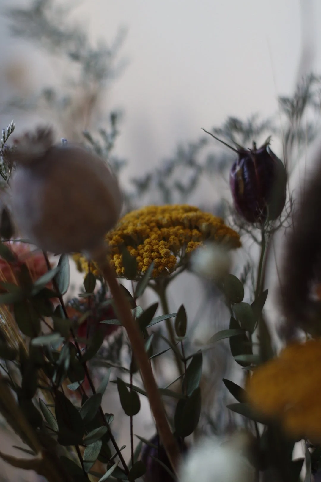 Close-up view of a bouquet of dried flowers with yellow, purple, and beige blooms, and green leaves, against a blurred neutral background.