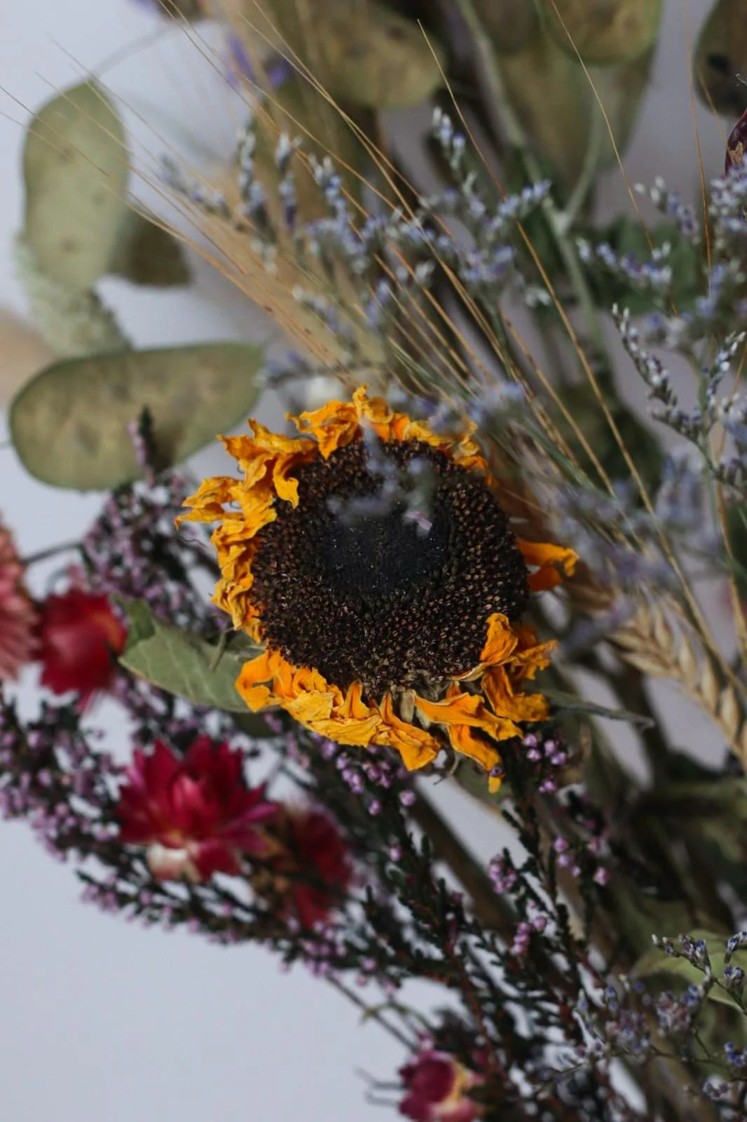 A dried sunflower with yellow petals and a dark center, surrounded by various dried flowers and foliage.