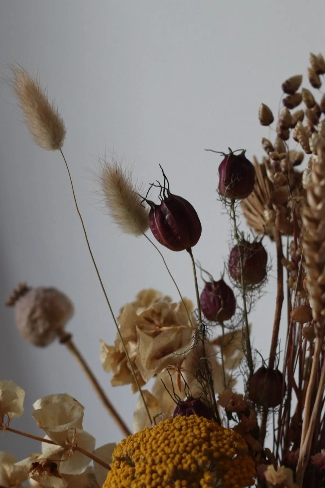 A bouquet of dried flowers and grasses, including yellow, beige, and burgundy-colored plant stems and seed pods.