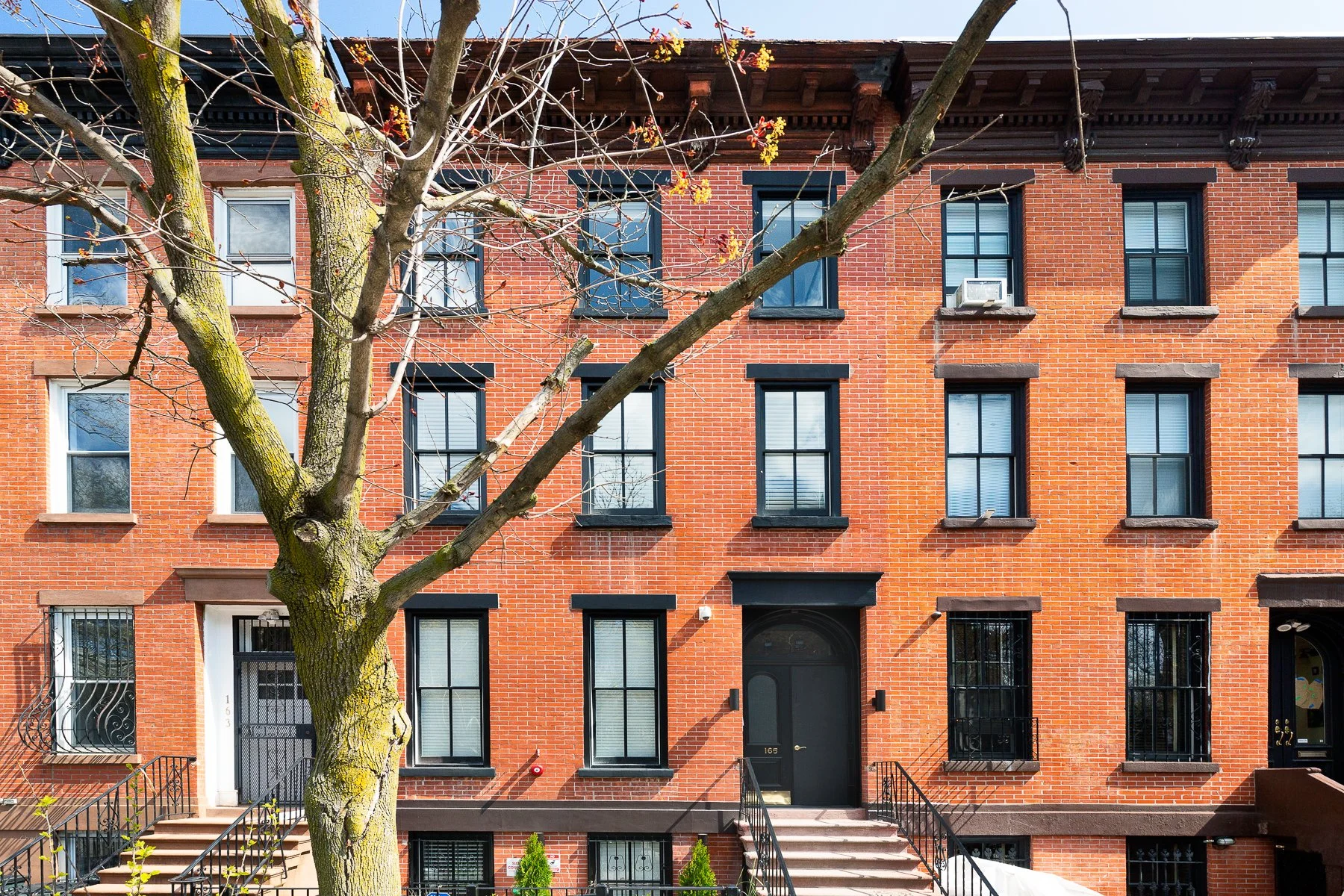 Red brick residential building with black window frames and steps leading to a black door, a tree in front with budding leaves, and a clear sky.