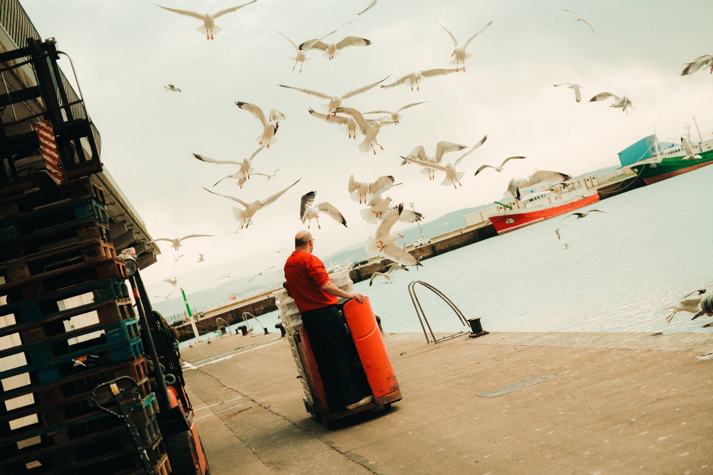 pescaderiaairoa-gadis-fotografia-mardepecas-andreasanchez-2024116.jpg