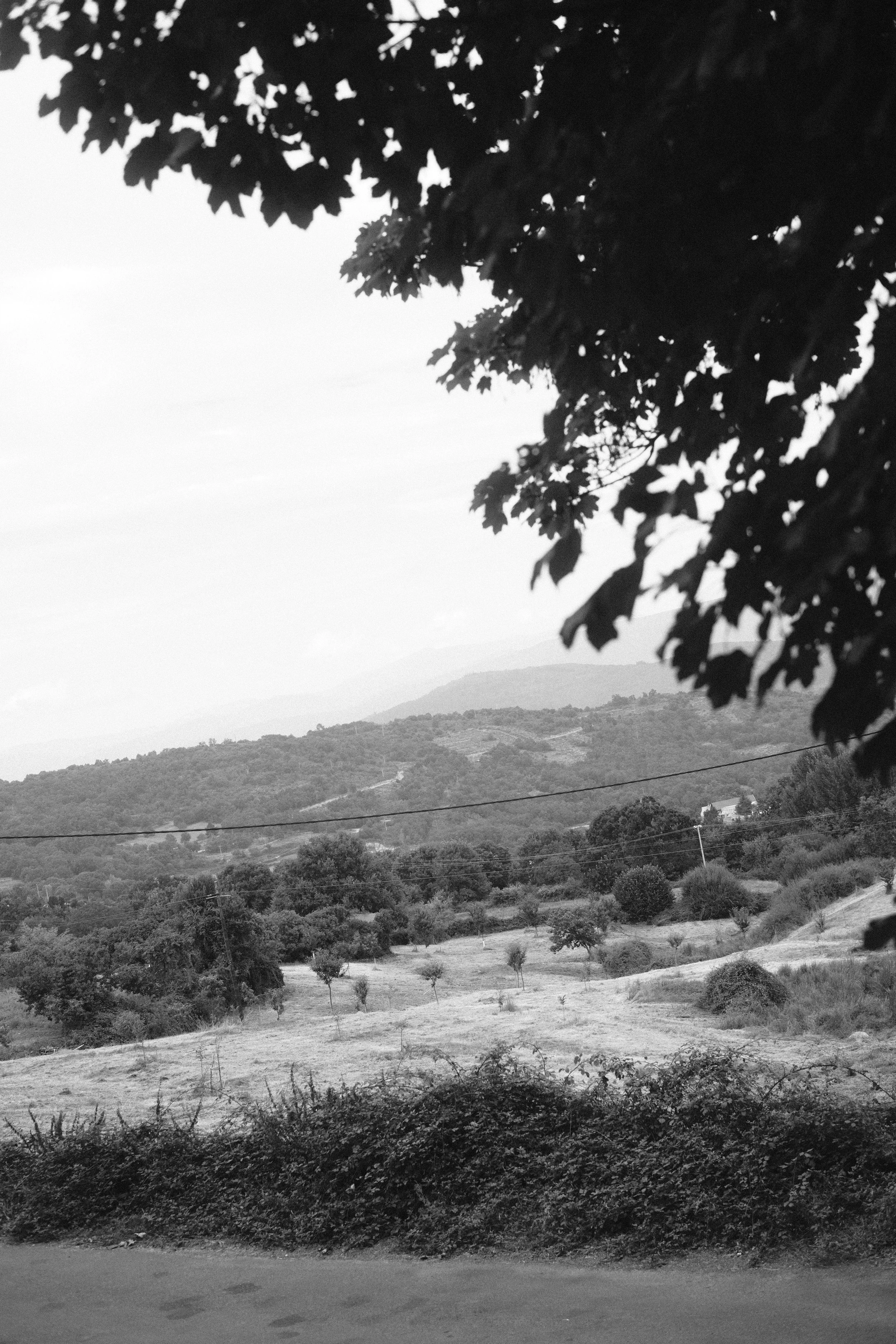 dianayrafa_2024_fotografia_mardepcas_andreasanchez872.jpg