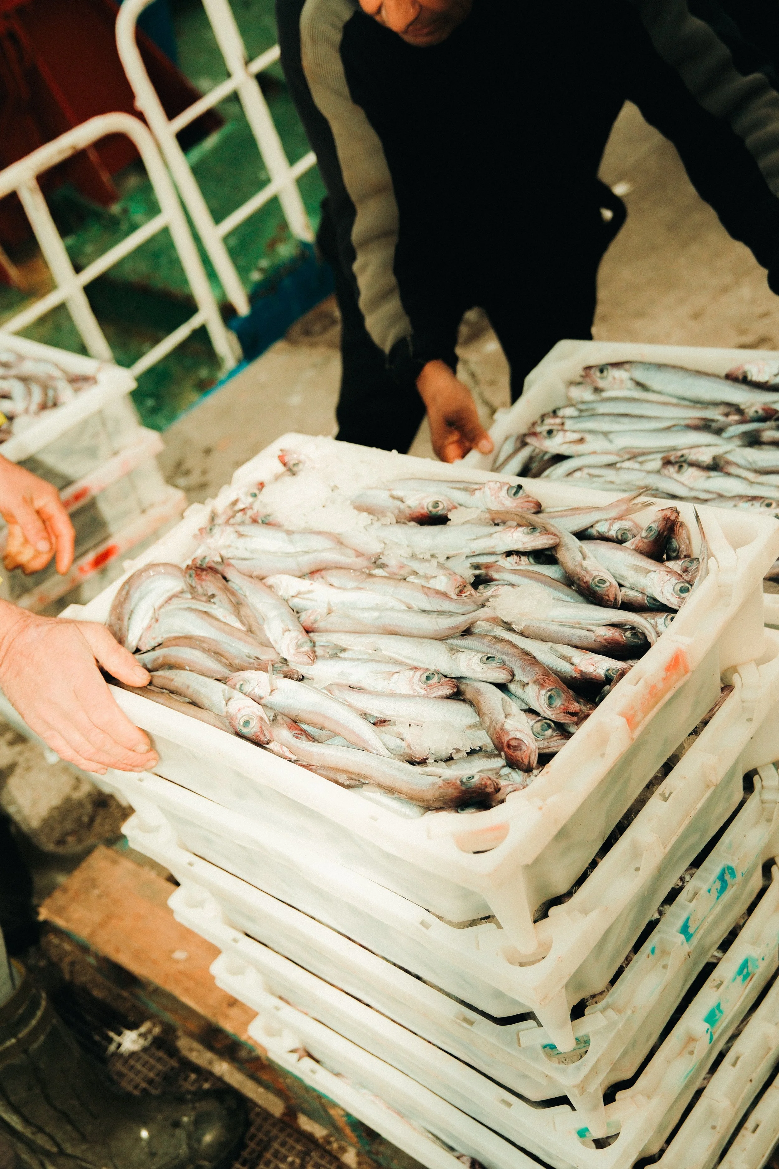 pescaderiaairoa-gadis-fotografia-mardepecas-andreasanchez-2024120.jpg