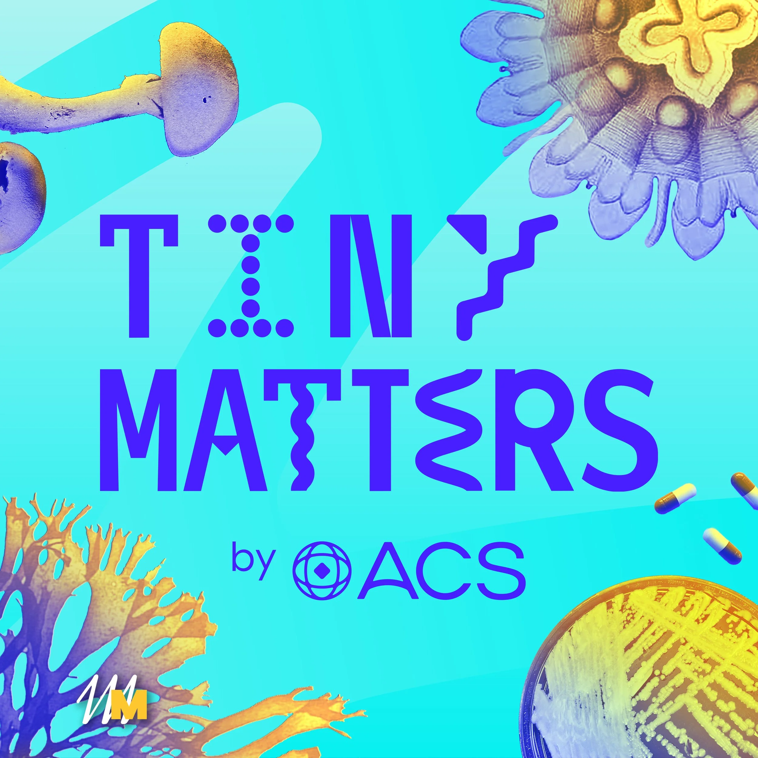 Tiny Matters Podcase