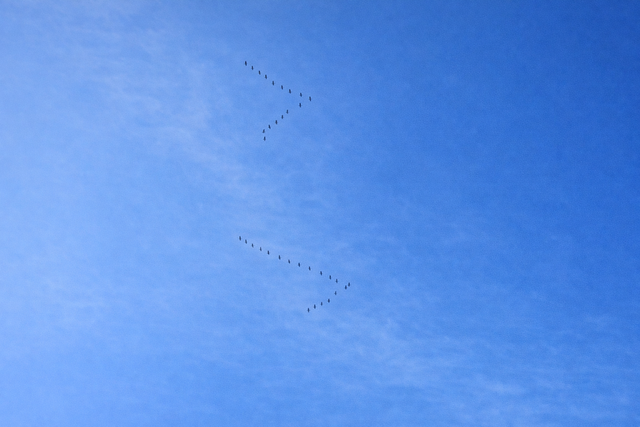 Zwischen Aufbruch und Ankommen.