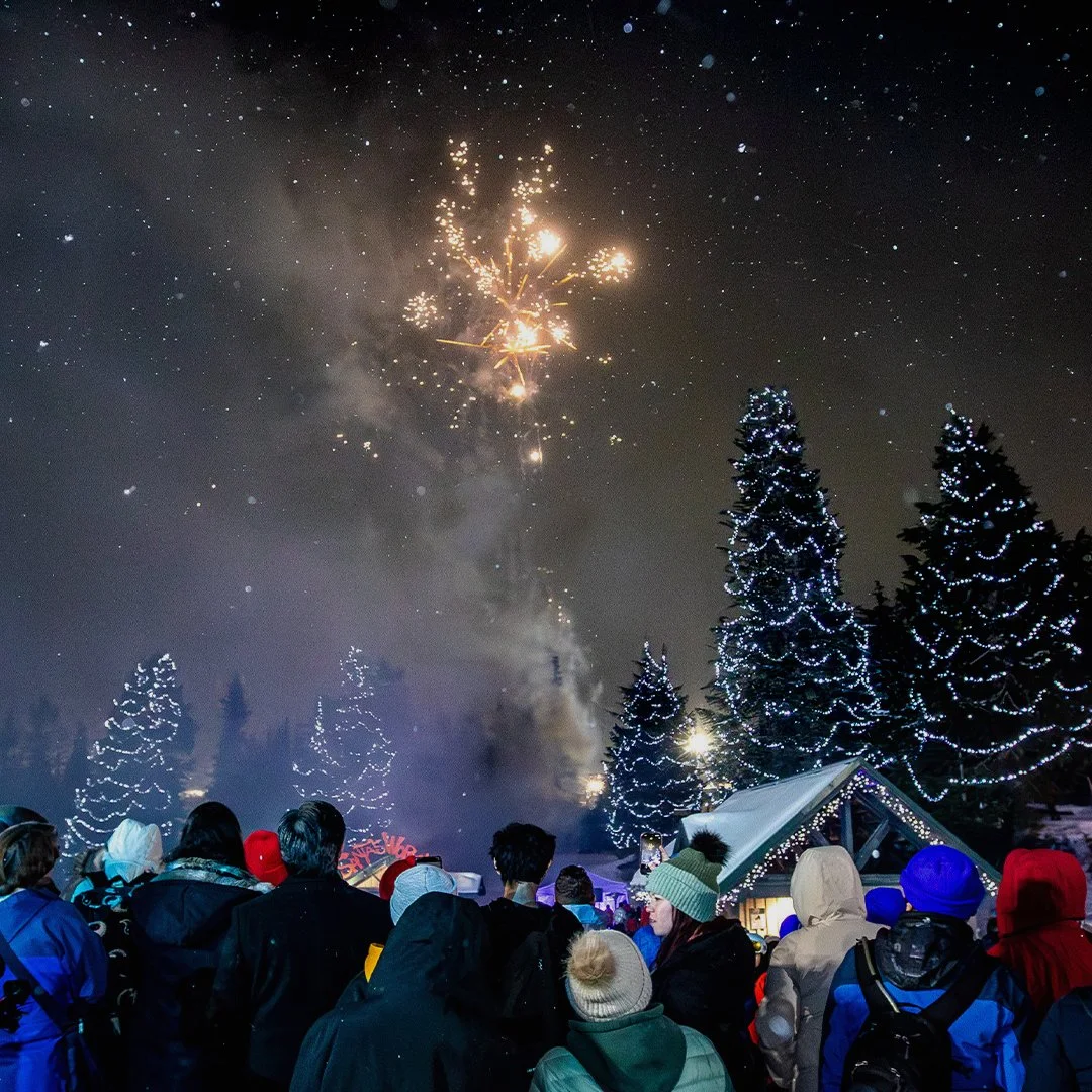 Nighttime outdoor celebration with a crowd watching fireworks in the sky, decorated with Christmas trees and festive lights.