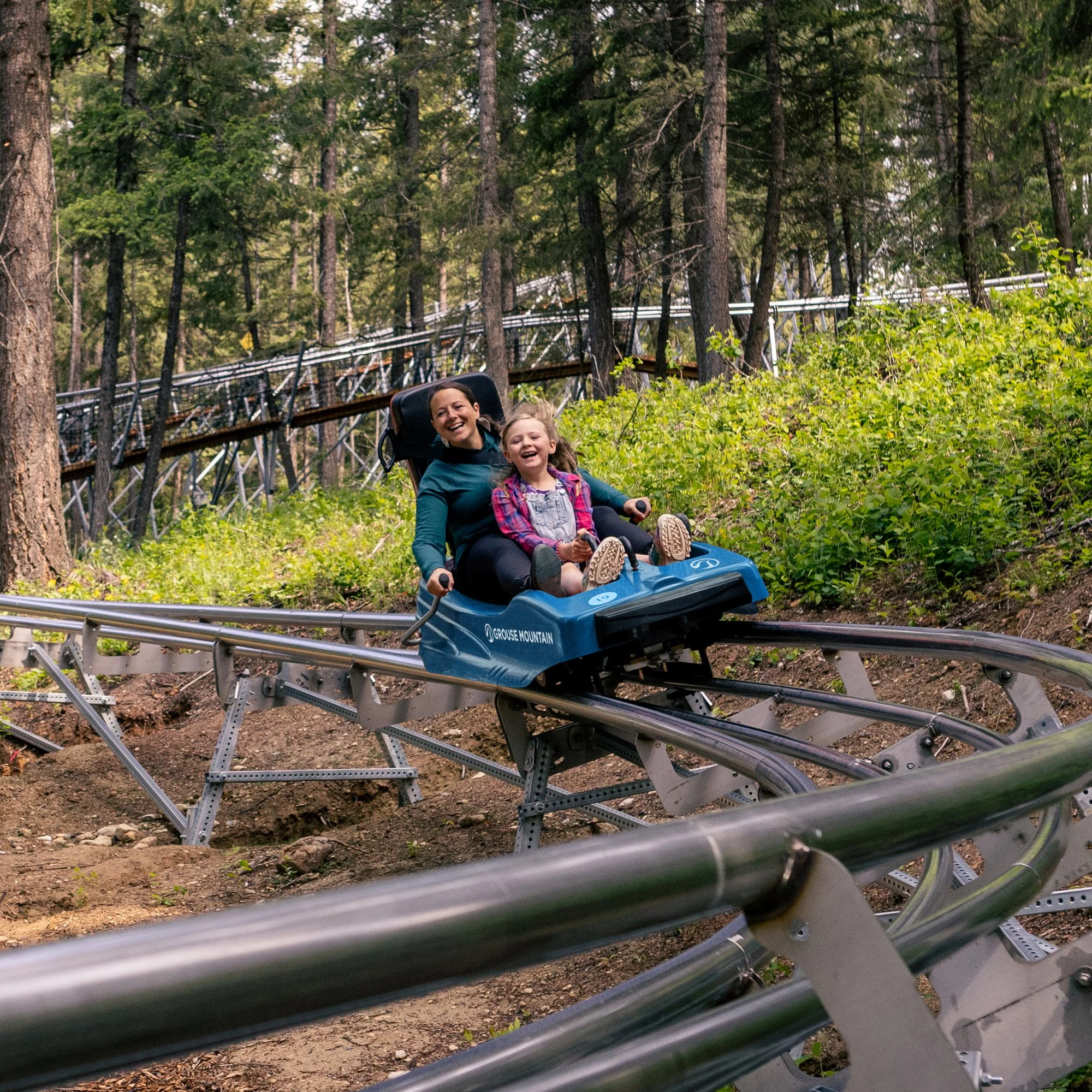 Family enjoying a ride on a mountain roller coaster through a forested area.