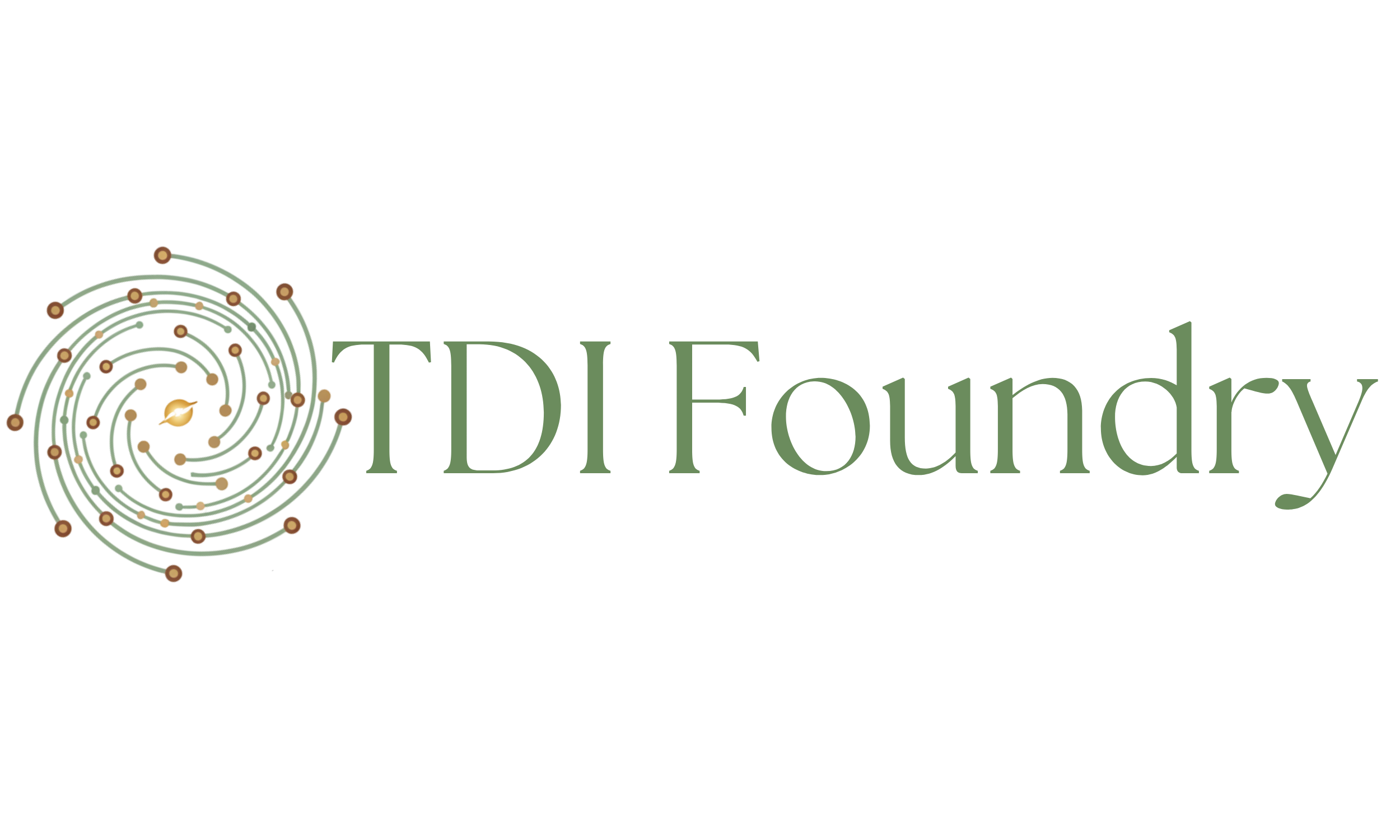 TDI Foundry | AI Powered Solutions
