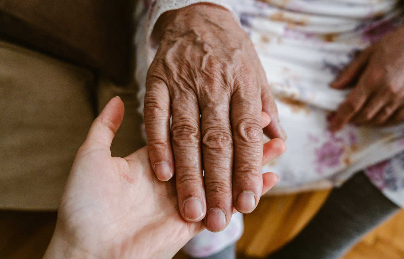 A young person's hand holding an elderly person's hand.