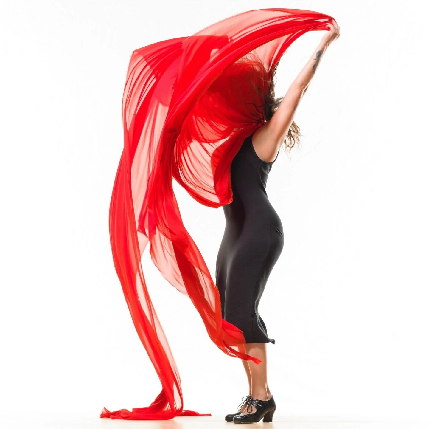 Flor de Jamaica 🌺 Hibiscus 🌺 
-
📸 @williamfrederkingphotography