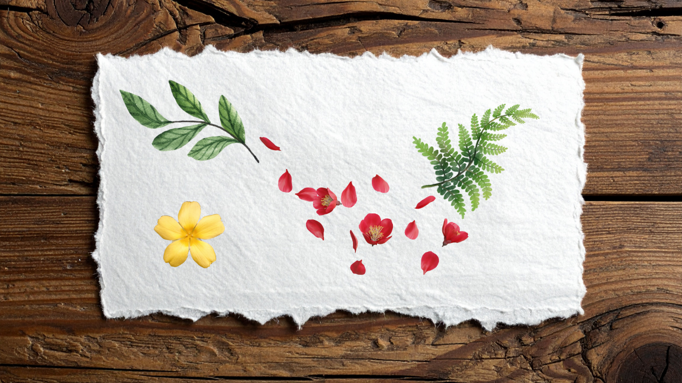Special Friday - Hand Papermaking with Inclusions