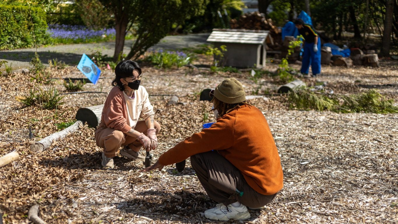 Friday: Open House &amp; Volunteer Day 