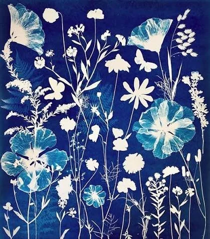 Special Friday Activity: Cyanotype/Cordage