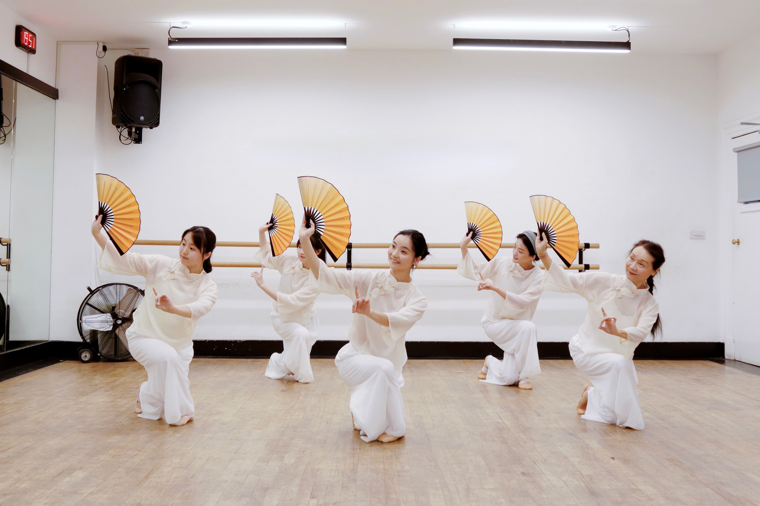 Adult - Chinese Classical Dance 古典舞身韵